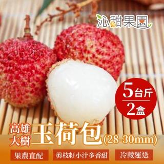 【沁甜果園】高雄大樹玉荷包中果5斤裝/盒｜28-30mm｜共2盒(端午｜水果｜禮盒｜剪枝｜農民直出｜冷藏出貨)