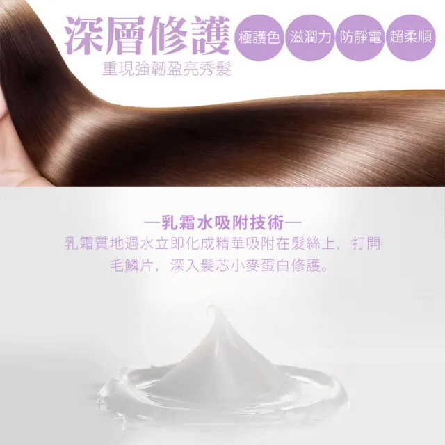 【SHILLS 舒兒絲】髮安瓶。秘帖奢華護髮精華-3入組(潤髮乳/護髮乳/乾濕兩用)