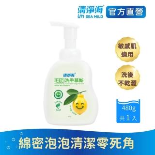 【清淨海 官方直營】環保洗手慕斯480g(溫和清潔/手部潔淨/無新增酒精/無皂鹼/蓬鬆泡沫/嬰童用)