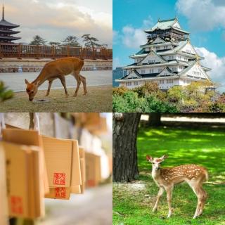 【吉航旅遊】精緻假期~臺北神戶進出京阪奈良清水寺奈良鹿公園大阪城公園輕鬆休閒半自由行五日-長榮航空