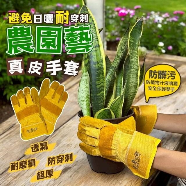【生活King】農園藝真皮手套(1雙裝)