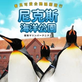 【每月一物北海道旅遊】全程無自理餐.企鵝遊行.小樽運河.函館夜景.螃蟹吃到飽五日.二晚溫泉