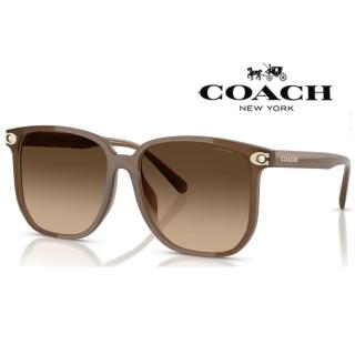 【COACH】亞洲版 時尚太陽眼鏡 框面精緻水鑽設計 HC8413BD 580874 咖啡色框漸層茶鏡片 公司貨