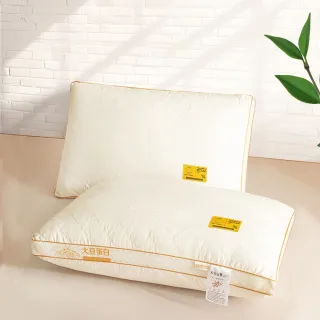 【MIT iLook】超值2入 高級金框迎財大豆纖維抗菌透氣網枕頭