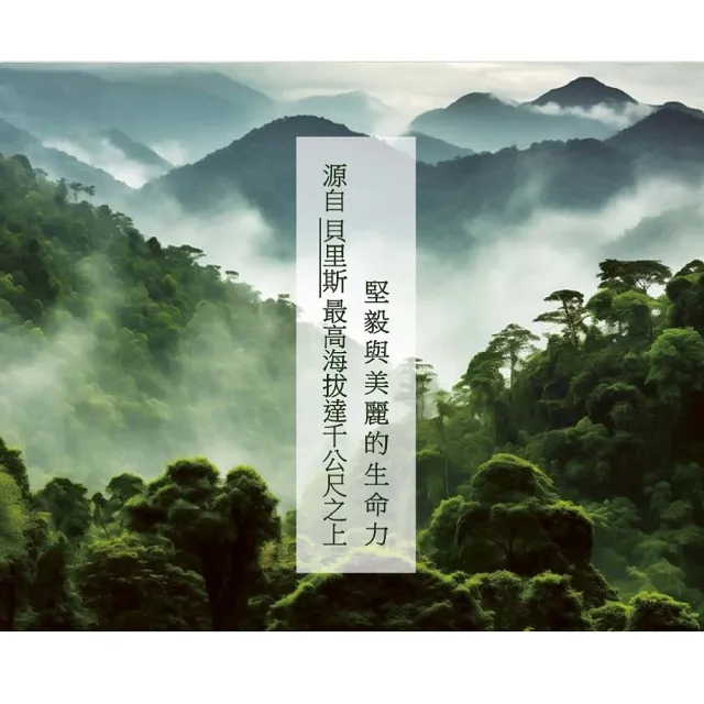 黑蘭極皙儷緻 馥活逆齡霜(1入/組)