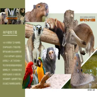 【吉航旅遊】精緻假期~台北神戶大阪動物王國環球影城清水寺奈良鹿公園螃蟹海鮮國產牛五日-星宇航空