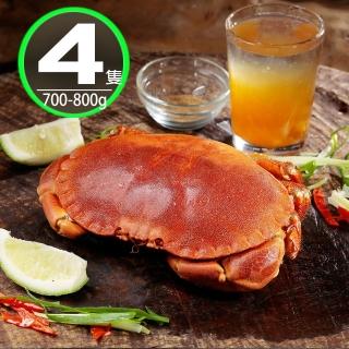 【華得水產】英國野生爆卵麵包蟹4隻(700-800g/隻)