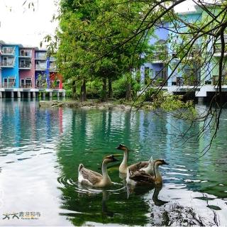 【農遊超市】宜蘭 水岸森林休閒農場(平日四人豪華泡泡住宿券)