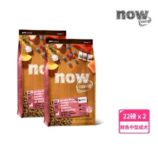 【Now!】中型成犬鮮魚配方 22磅 兩件組 狗狗無穀天然糧(狗糧 狗飼料 護膚 中顆粒 益生菌)