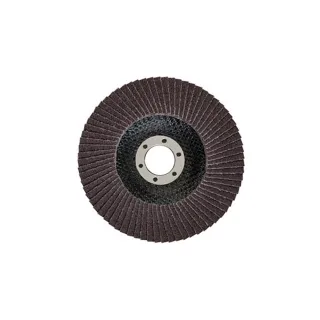 【BOSCH 博世】砂布輪100mm/#80  10入
