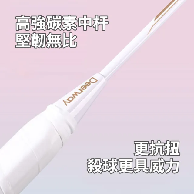 【QLZHS】成人比賽訓練羽球拍套組 羽毛球拍 穿線鋁合金羽球拍 訓練球拍 進攻型球拍(贈3球+球拍套)