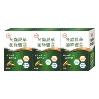 【即期品】臺糖冬蟲夏草菌絲體複方膠囊3盒組60粒/盒(有效期限至 2025.10.12)