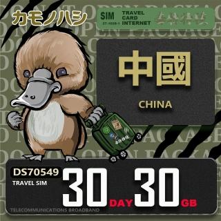 【platypus 鴨嘴獸】Travel Sim 中國 30天30GB 上網絡卡(中國 免翻牆 上網絡卡)