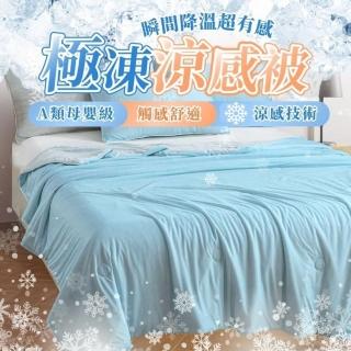 【享屋】A類極凍冰絲涼被200x230(涼被 涼被 單人 雙人涼被 冰河極凍被 空調被 棉被)