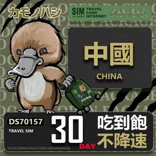 【platypus 鴨嘴獸】Travel Sim 中國 30天 吃到飽不降速(中國 免翻牆 上網絡卡)
