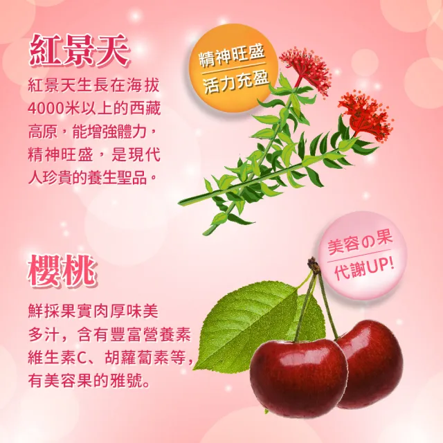 【順天本草】櫻桃四物飲12瓶組-紅景天補充好元氣(6瓶/盒X2)