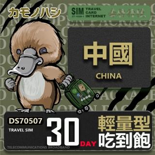【platypus 鴨嘴獸】Travel Sim 中國 30天 輕量型吃到飽(中國 免翻牆 上網絡卡)