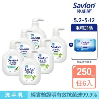 【Savlon 沙威隆】抗菌潔淨洗手乳 6入組(250mlx6/官方直營)
