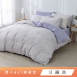 【HongYew 鴻宇】台灣製100%精梳棉 薄被套 雙人(多款)