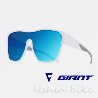 【GIANT】103LS 外掛式偏光太陽眼鏡(開車/騎車/自行車 只要扣上去就好)