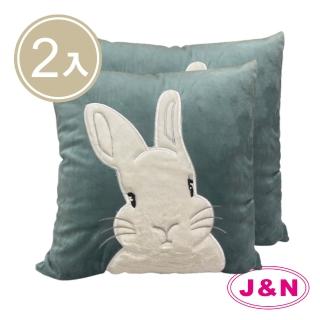 【J&N】軟萌白白絲絨抱枕45X45cm(綠色--2入)