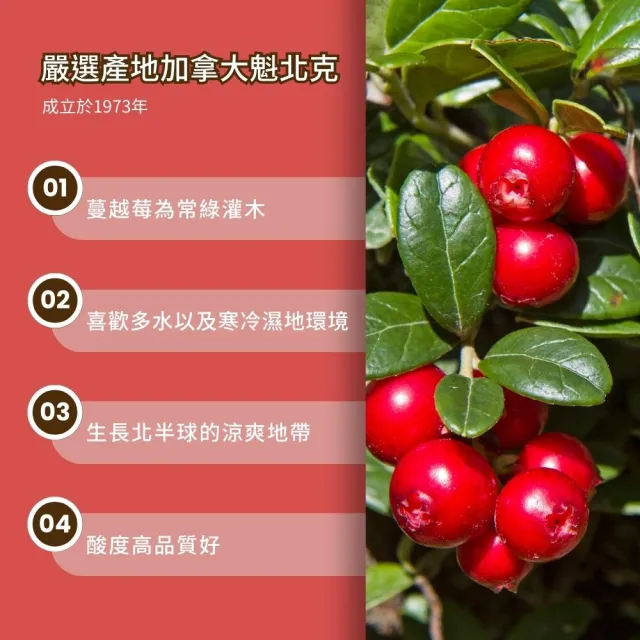 【O’natural 歐納丘】純天然整顆蔓越莓乾210g*3罐