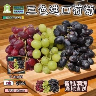 【每日宅鮮】紅地葡萄+黑無籽+秋脆綠無籽(1.2Kg±5% x2盒 三色進口葡萄)