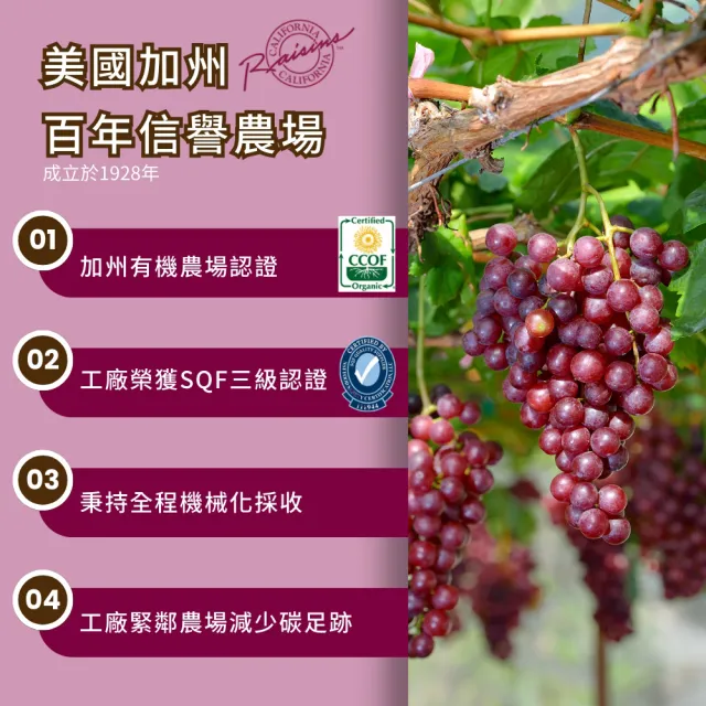 【O’natural 歐納丘】袋裝_有機火焰葡萄乾150g*3袋