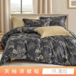 【貝兒居家寢飾生活館】頂級涼感60支天絲涼被(棉被/四季被/TENCEL/多款任選) 涼被/冷氣毯
