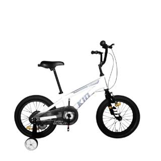 【萊禮】RALEIGH 20吋兒童腳踏車 兒童自行車(佇腳架款無輔助輪)