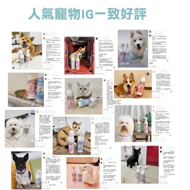 【ARC-FLASH】光觸媒寵物清潔除味3件組-地板清潔劑+瞬效除臭噴霧x2(成分天然/分解細菌.病毒/去除異味)