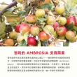 【FruitGo 馥果】智利安寶蜜桃蘋果64顆(18kg±10%原箱產地直送)