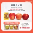 【FruitGo 馥果】智利安寶蜜桃蘋果64顆(18kg±10%原箱產地直送)