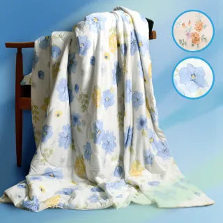 【Dr.Air 透氣專家】瞬冰輕紗被 超薄透氣 冰感親膚 夏季好眠神器 涼感被 涼被 冰涼被 夏季被(150x200cm) 涼