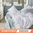 【HOYACASA  禾雅寢具】台灣製-100%萊賽爾天絲床包枕套-多款任選(雙人/加大 速達)