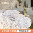 【HOYACASA  禾雅寢具】台灣製-100%萊賽爾天絲床包枕套-多款任選(雙人/加大 速達)