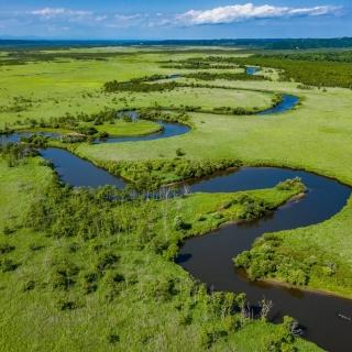【喜鴻假期】【北海道道東秘境５日】釧路溼原、丹頂鶴、流冰館、狐狸村、歐風小樽、螃蟹溫泉(單人券)