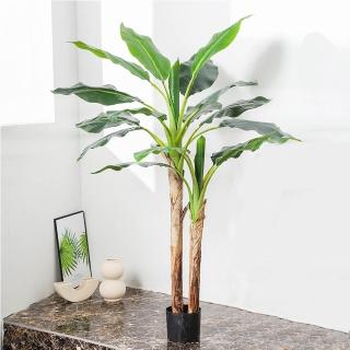 【POKO】模擬景觀芭蕉樹 高模擬160公分大型盆栽(景觀室內外裝飾 人工植物 家居 園藝 裝飾造景)