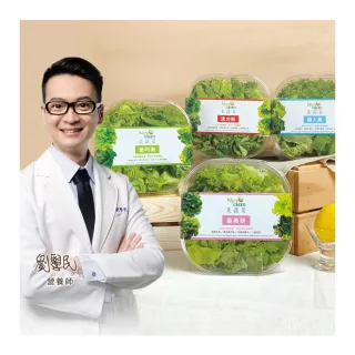 【NICE GREEn 美蔬菜】美蔬菜盒4入含運組送4包沙拉醬(萵苣 生菜 沙拉 蔬菜 防疫健康組)