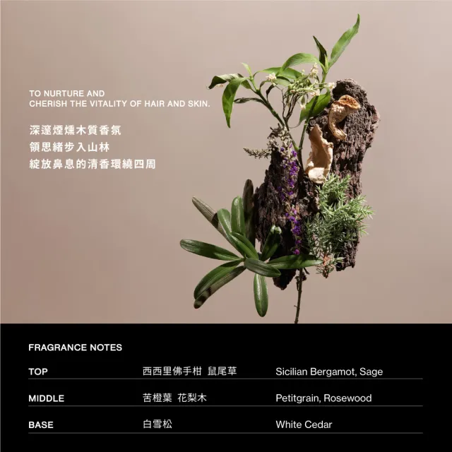 【SAWAA】舒活｜身體護膚組(波光沐浴露500ml+寧海身體乳500ml)