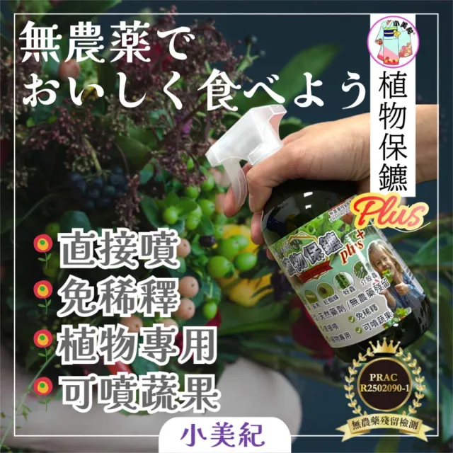 【小美紀】500ml多肉植物保鑣217H(白粉病 紅蜘蛛 蚜蟲 炭疽病 介殼蟲 有機肥料 培養土 多肉盆栽 多肉土壤)
