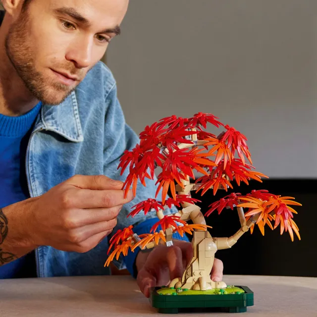 【LEGO 樂高】Botanicals 10348 日本紅楓盆景(花藝 居家擺設 積木 玩具模型)