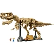 【LEGO 樂高】侏羅紀世界系列 76968 恐龍化石：暴龍(侏羅紀世界 恐龍 居家擺設 1:12比例)