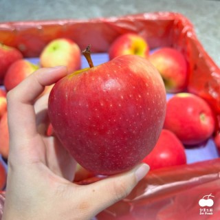 【舒果SoFresh】#30S紐西蘭Dazzle耀眼之星/炫麗蘋果(30顆/約8.7kg/原裝箱)