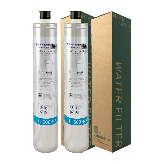 【EVERPURE】濾心 H300NXT(2入組)