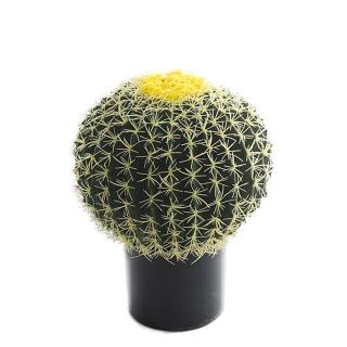 【POKO】模擬景觀仙人掌 高模擬 40公分 大型盆栽(人造植物 景觀室內外裝飾 人工植物 家居 園藝 裝飾造景)