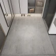 【H法姿曼】地毯 入戶門地墊 門墊 腳墊 門口家用地毯 可裁剪(140CM*200CM 環保無味 穩固防滑 預售15天)