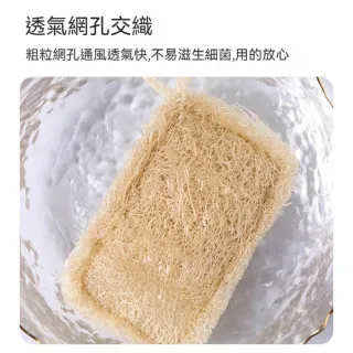 【茉家】附掛繩不沾油天然絲瓜絡(方型單層款2入)