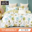 【ALAI寢飾工場】台灣製 100%精梳純棉枕套床包組(單人/雙人/加大 均一價 多款任選)