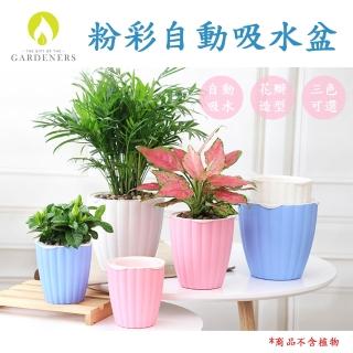 【Gardeners】粉彩自動吸水盆-1入(懶人花盆/室內植物用)
